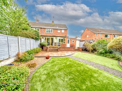 Picture 31